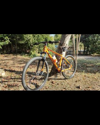 KTM Ultra 29 MTB Alluminio Freni a Disco
