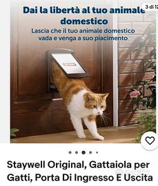 Gattaiola porta per gatti 