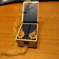 Orecchini pendenti Thun