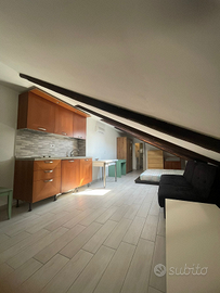 Mansarda politecnico