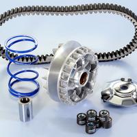 Variatore Polini Evolution Piaggio Vespa 250 - 300