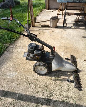  Motofalciatrice briggs&stratton