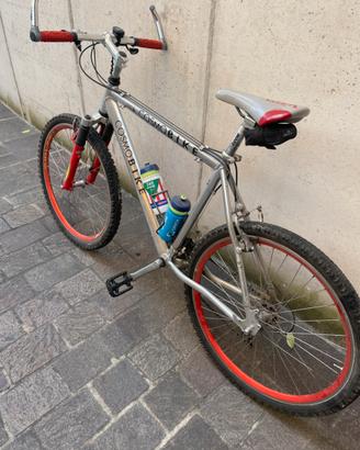 Bicicletta mountainbike
