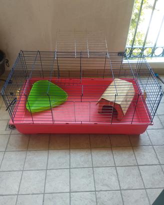 Gabbia per conigli con accessori 