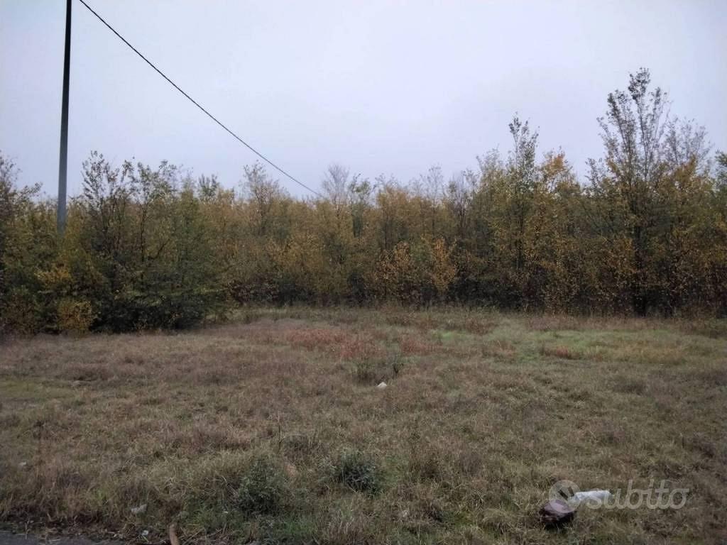 Immobile in asta di 15071 m² a Correggio - Vista 2