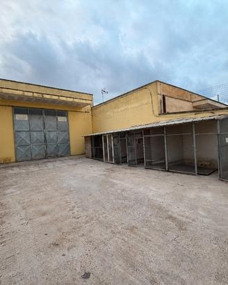 Immobile indipendente 118 mq con giardino