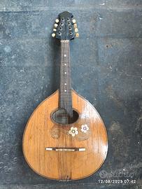 mandolino mandola