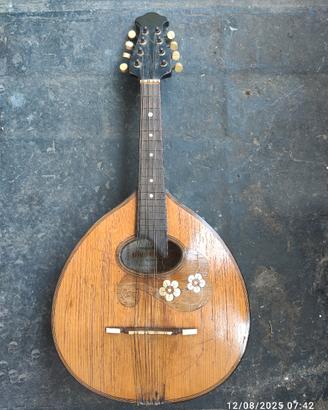 mandolino mandola