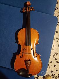 Violino