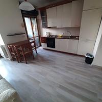 Bilocale zona isonzo