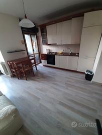 Bilocale zona isonzo