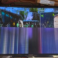 Ricambio philips 24pfs4022 tv lcd