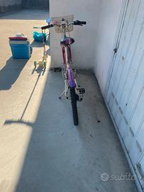 Bicicletta