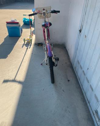 Bicicletta