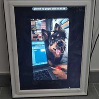 Cornice Digitale Pixstar Lux 17''