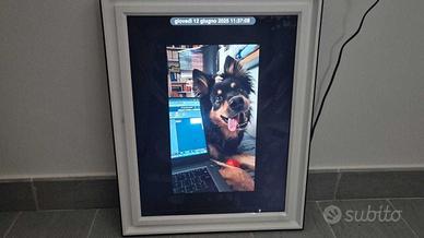 Cornice Digitale Pixstar Lux 17''