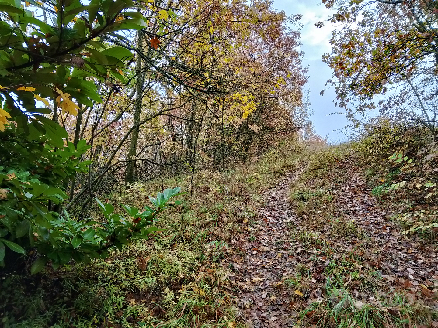 Terreno ex vigneto a terrazze - Vista 2