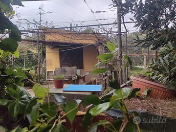 Terreno loc Fabbricciane con annesso