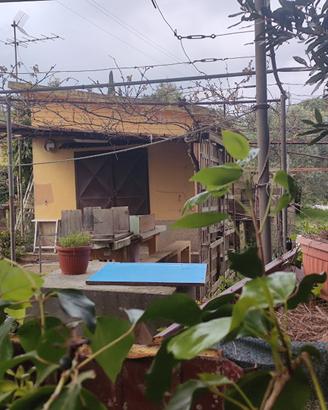 Terreno loc Fabbricciane con annesso