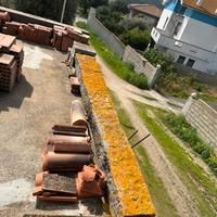 Monoliti/tronchi di Ginepro