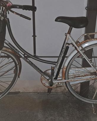 Lotto Biciclette
