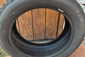 gomme invernali 