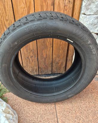 gomme invernali 