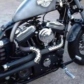 Scarichi in acciaio più originali Harley Forty