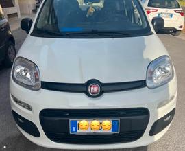 Fiat Panda easy 1.3 multijet 95 cv 2017
