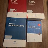 Codici Santise Civile Penale Amministrativo + Add.