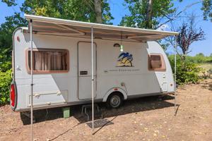 Knaustabbert 500