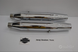 Marmitte Harley Davidson Sportster