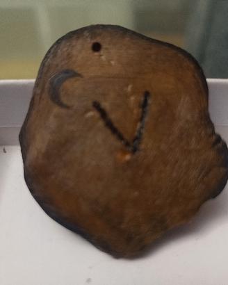 Collana orecchino artigianale legno ulivo personal
