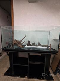 acquario 250 litri