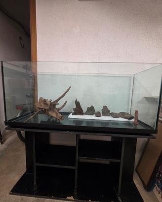 acquario 250 litri