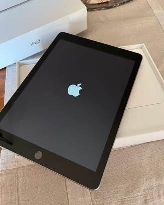 iPad Apple
