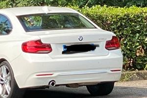 PARAURTI SERIE 2 F22 Luxury Coupè