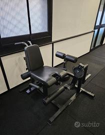 Leg Extension / Leg Curl REXGYM – Come Nuova