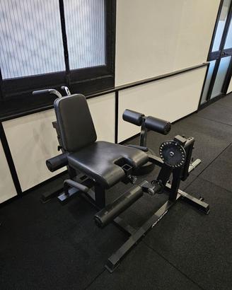 Leg Extension / Leg Curl REXGYM – Come Nuova