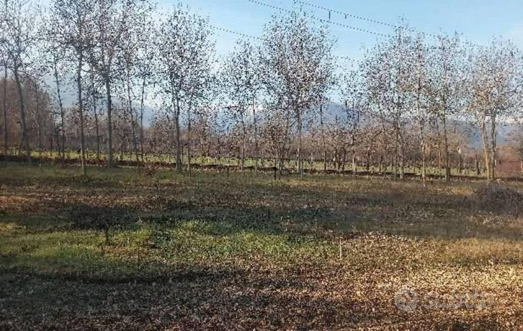 Immobile in asta di 1600 m² a Sulmona - Vista 2