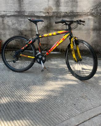 Bicicletta