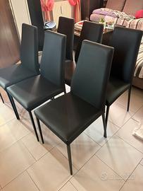 6 sedie Calligaris modello Boheme