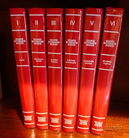 Grande Dizionario Medico “Fabbri” (1972) completo