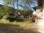 Immagine 16