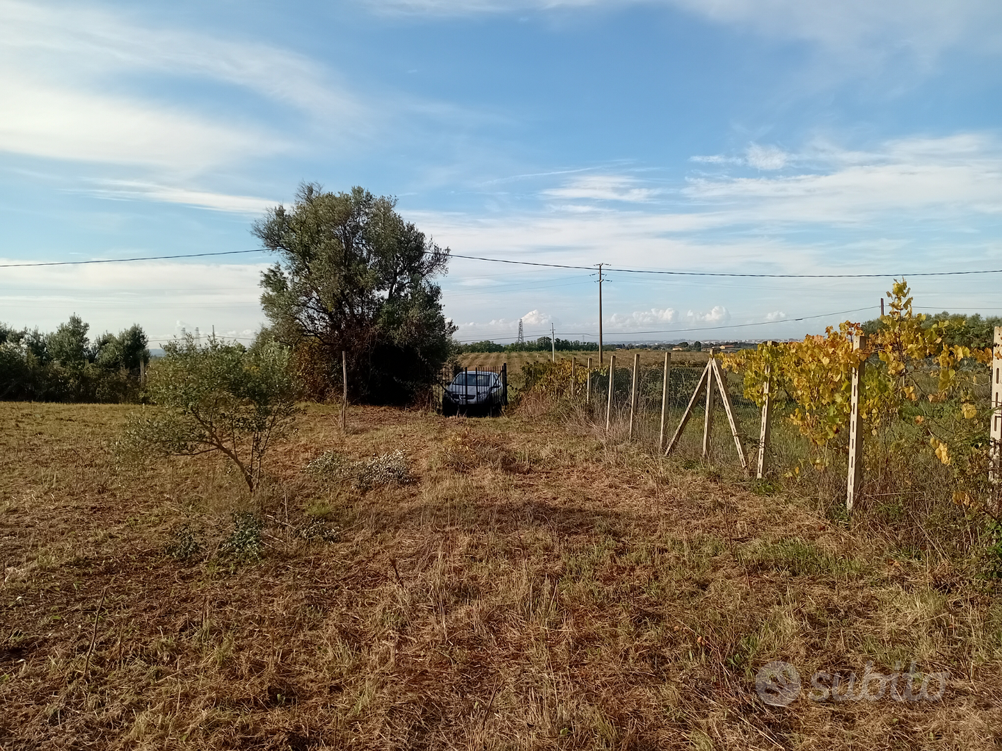 Terreno agricolo - Vista 4