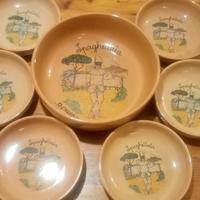 Set composto da 6 piatti e una ciotola 