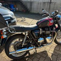 Triumph Bonneville T 100