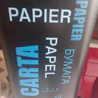 Bidoni differenziata 