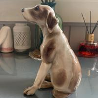 CACCIAPUOTI – Setter da caccia