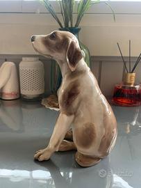 CACCIAPUOTI – Setter da caccia